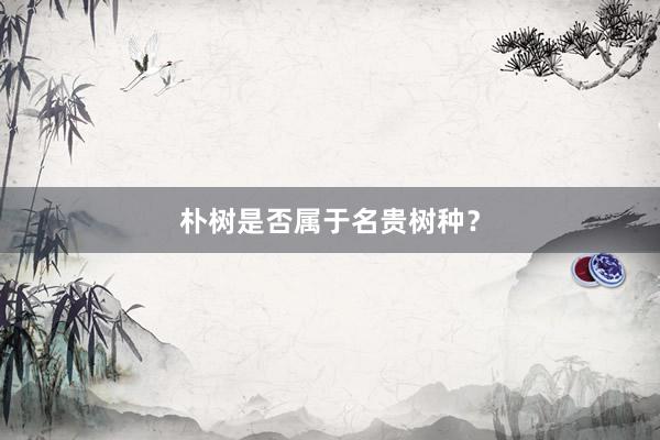 朴树是否属于名贵树种？