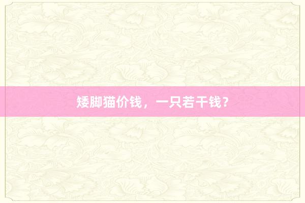 矮脚猫价钱，一只若干钱？